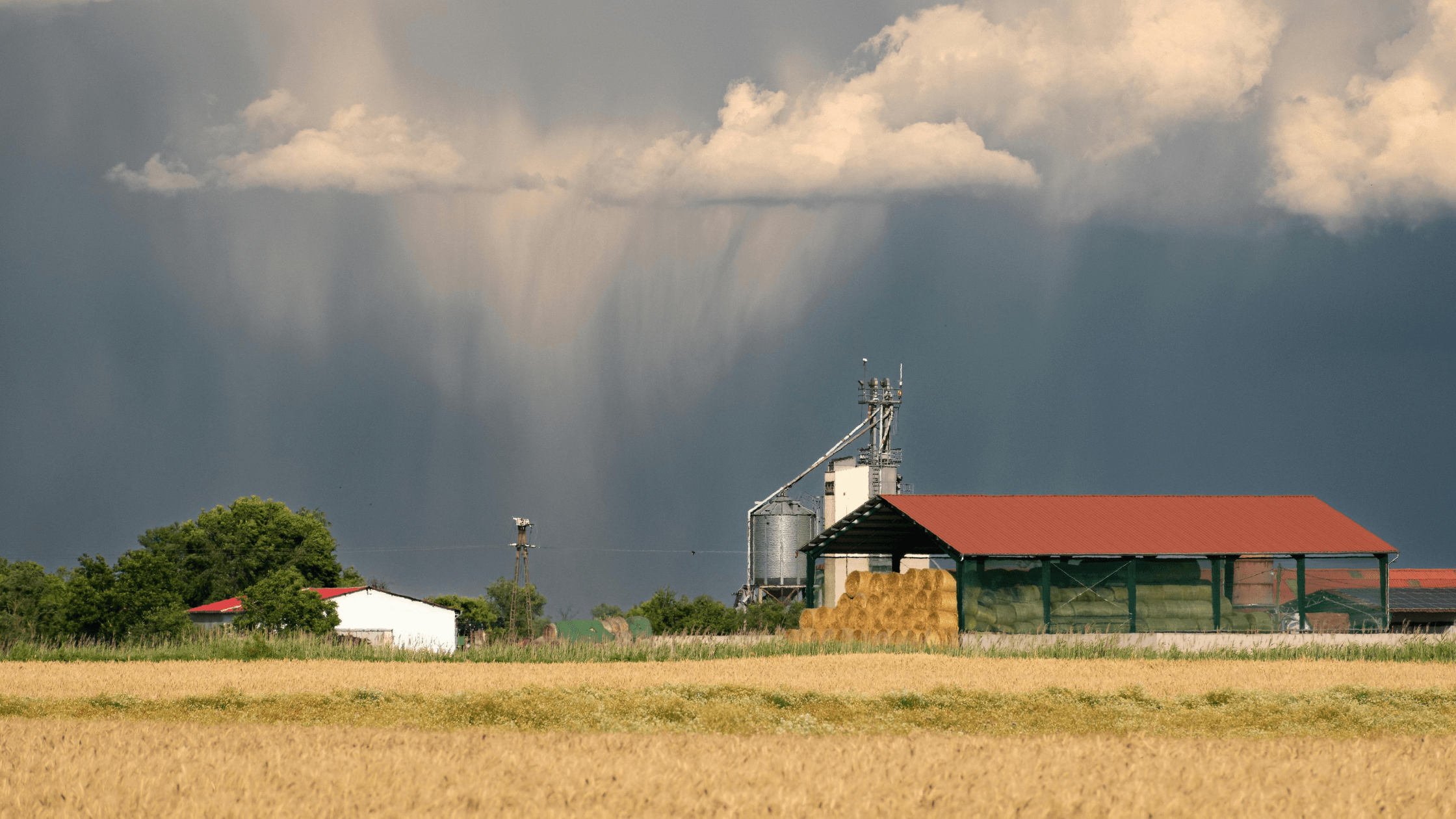 El Niño 2026: como o clima pode impactar a safra 2026/27