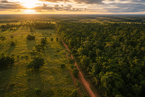 Demarcação de Terras Indígenas no Paraná e Mato Grosso do Sul: o que os produtores rurais precisam acompanhar em 2026