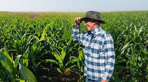 Licenciamento Ambiental no MS: Como Regularizar sua Atividade